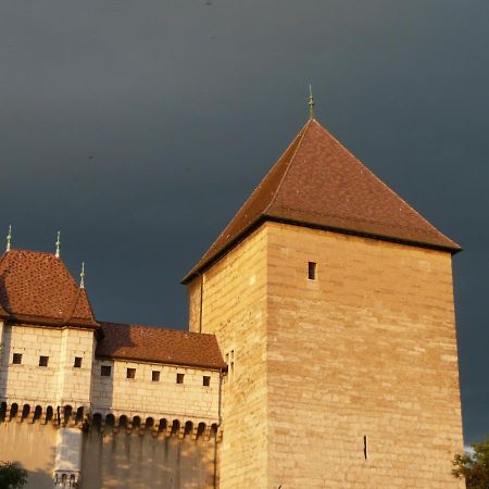 Appartement Dans La Vieille Ville, En Face Du Chateau Annecy Eksteriør billede
