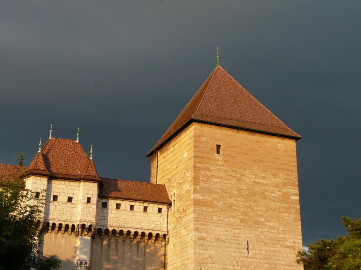 Appartement Dans La Vieille Ville, En Face Du Chateau Annecy Eksteriør billede