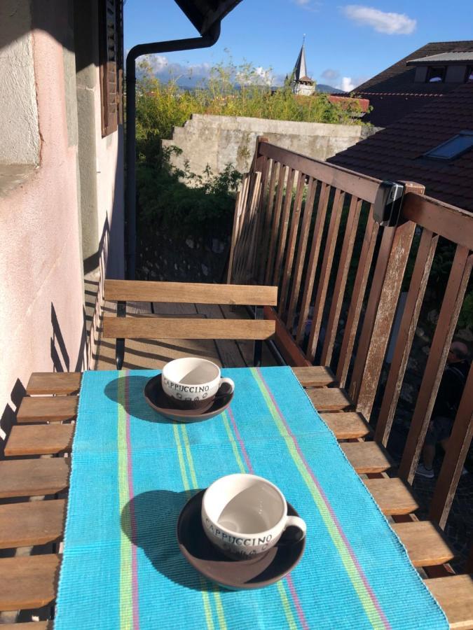 Appartement Dans La Vieille Ville, En Face Du Chateau Annecy Eksteriør billede